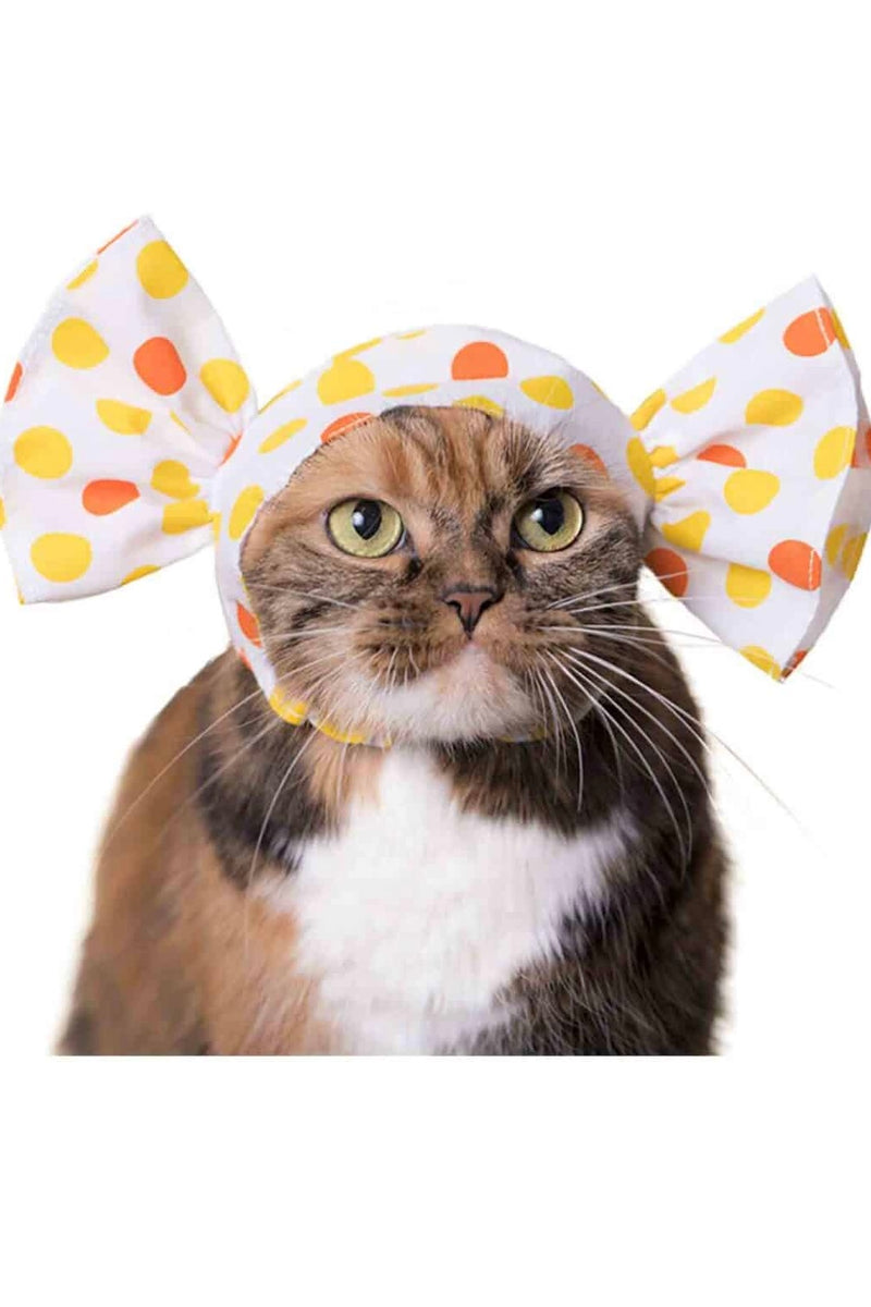 Kitan Club Cat Cap Blind Box Candy – Splurge - Main Image