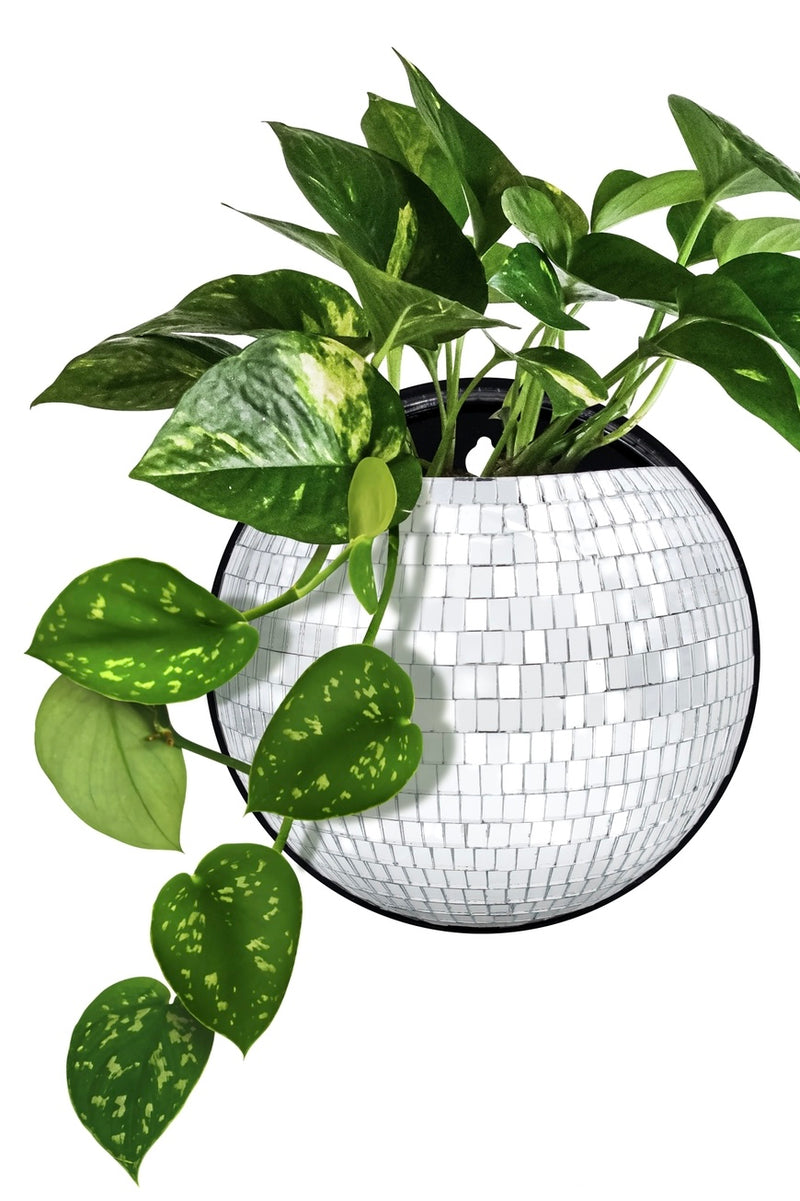 Magnetic Disco Planter