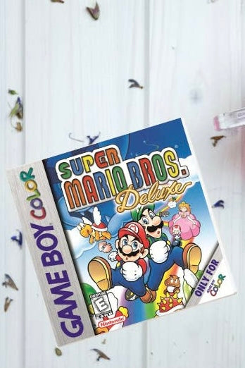Super Mario Bros Coaster